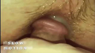 44524 gay porn videos